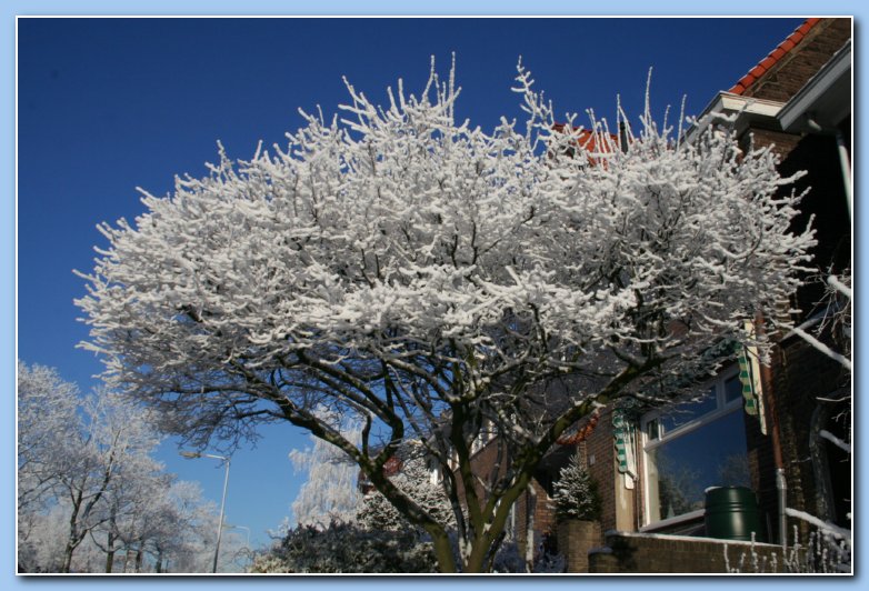 Arnhem Snow 144